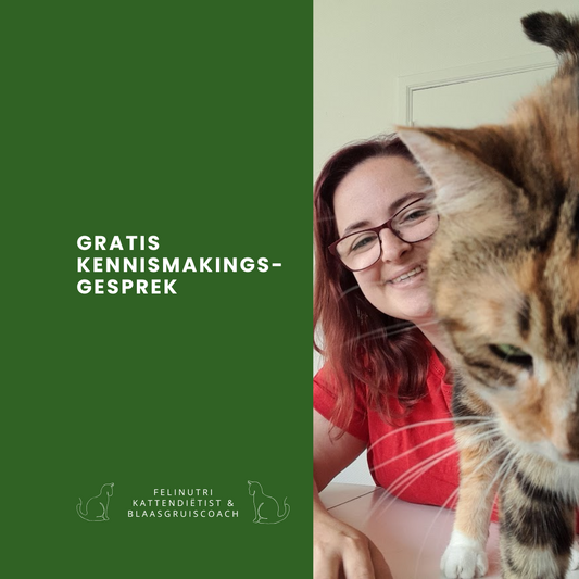 Gratis Kennismakings-gesprek