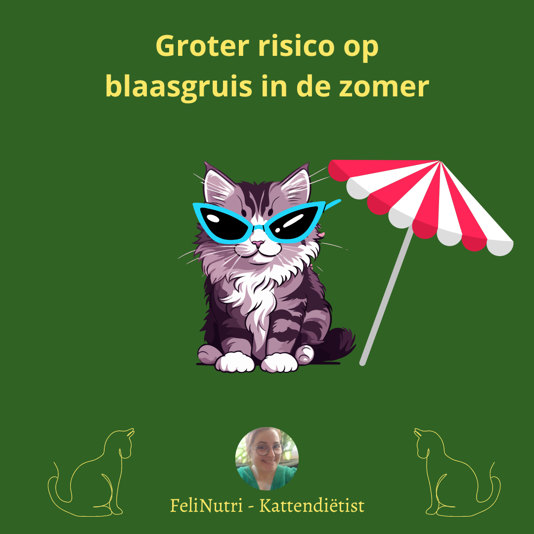 De zomer is een risicoperiode voor blaasgruis