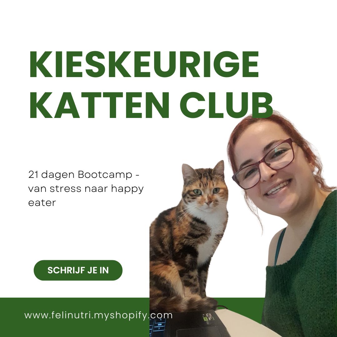 Kieskeurige Katten Club - 21 dagen bootcamp: van stress naar happy eater