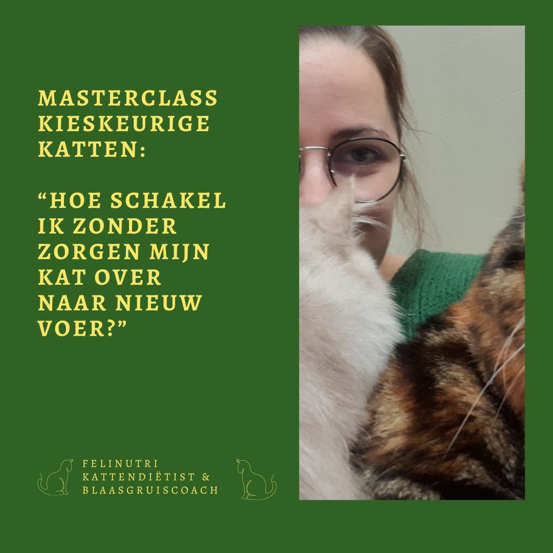 Masterclass Kieskeurige Katten: Hoe schakel je zonder zorgen je kat over naar gezond voer?