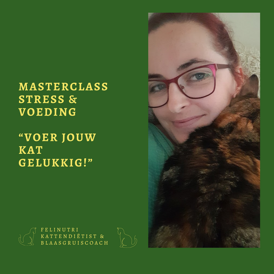 Masterclass: Stress & voeding - Voer jouw kat gelukkig!