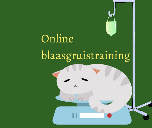 Online blaasgruistraining 2.0