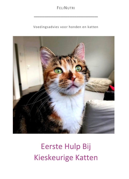 Eerste Hulp bij Kieskeurige Katten