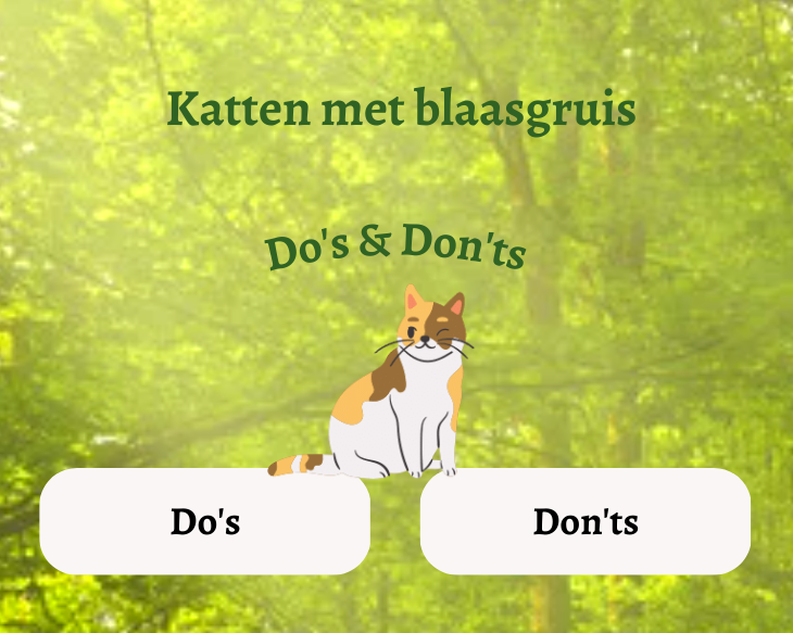 Do's & Don'ts voor katten met blaasgruis