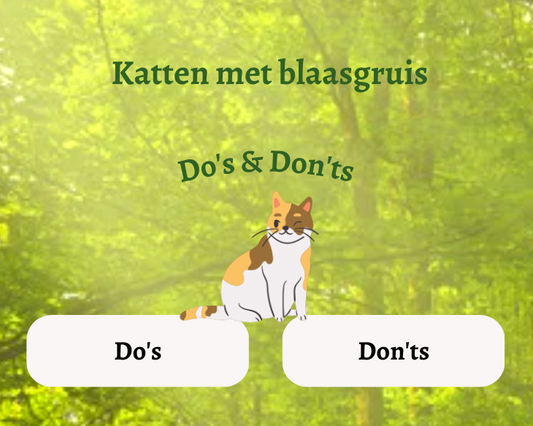 Do's & Don'ts voor katten met blaasgruis